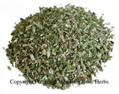 echinacea herb