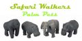 Safari Walkers Palm Pets